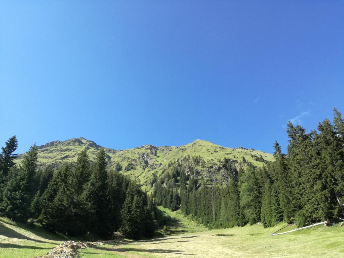 Bichlerhof Daire Hopfgarten in Defereggen Dış mekan fotoğraf