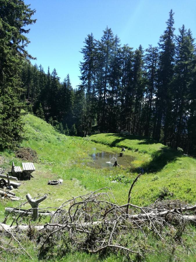 Bichlerhof Daire Hopfgarten in Defereggen Dış mekan fotoğraf